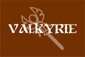 Class-img-Valkyrie.png